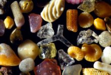 Photo of Granelli di sabbia ingranditi 300 volte, uno spettacolo straordinario e  inaspettato