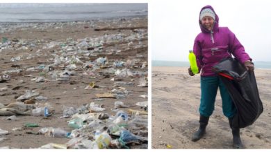 Photo of Una donna di 70 anni ha pulito  52 spiagge, perché vuole lasciare un mondo migliore alle future generazioni