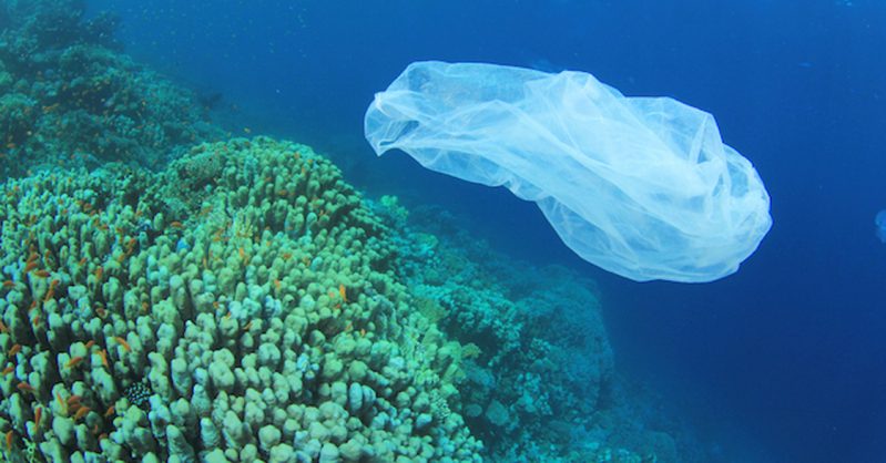 Addio ai prodotti in plastica monouso