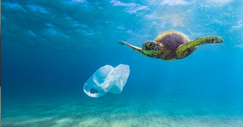 I sacchetti di plastica inquinano