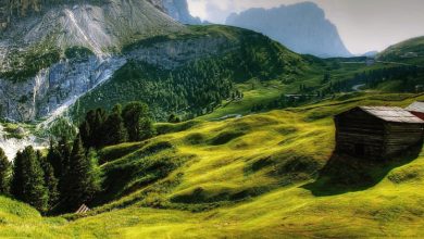 Photo of Tutti in Trentino, per il bagno nella foresta. Bellissima  iniziativa da scoprire