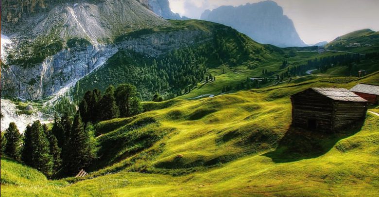 Bagno nella foresta in Trentino