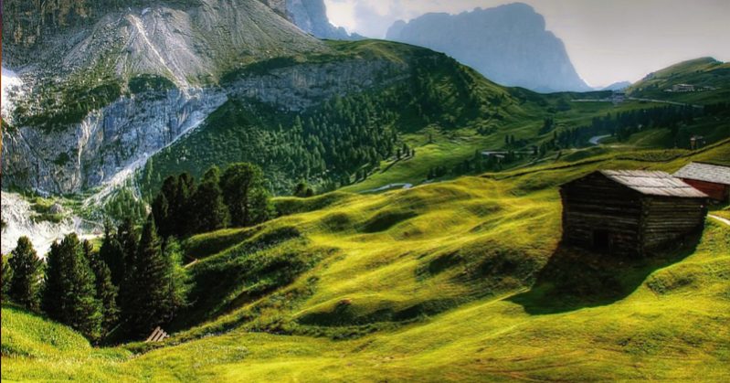 Bagno nella foresta in Trentino