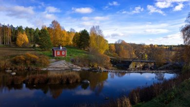 Photo of Un viaggio gratis verso la felicità. È la proposta della Finlandia per un mondo più felice