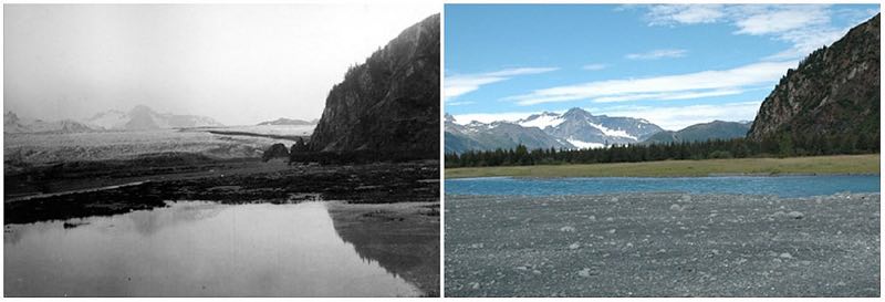 Ghiacciaio dell'orso, Alaska