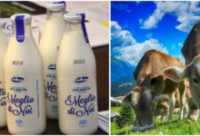 Photo of Trento. Torna il latte nelle bottiglie di vetro. Senza Ogm e vuoto a perdere