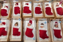 Photo of L’ospedale pediatrico dimette i neonati nelle calze natalizie fatte a mano. Una dolce tradizione che dura da 50 anni