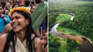 Photo of Tribù amazzonica vince la causa contro una compagnia petrolifera e salva mezzo milione di acri di foresta pluviale