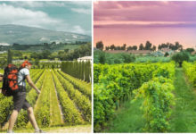 Photo of Il Cammino di Bardolino, una passeggiata di 100 km tra vigneti e le colline del Lago di Garda