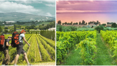 Photo of Il Cammino di Bardolino, una passeggiata di 100 km tra vigneti e le colline del Lago di Garda