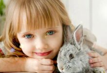 Photo of I bambini che crescono con un animale domestico saranno adulti più sensibili e di successo