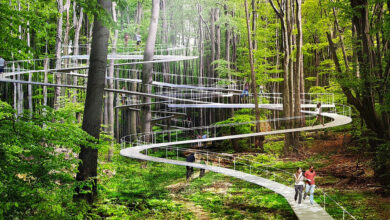 Photo of Il parco sospeso a Istanbul per passeggiare in mezzo agli alberi tra terra e cielo. Un paesaggio fiabesco tutto da scoprire