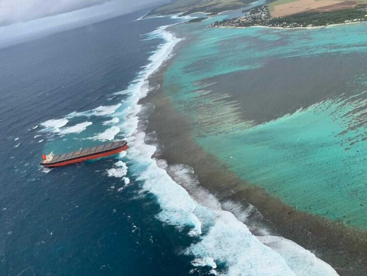 Il popolo di Mauritius dona i capelli per salvare il mare 