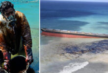 Photo of Il popolo di Mauritius dona i propri capelli per salvare il mare dalle tonnellate di carburante che si stanno riversando dalla petroliera incagliata