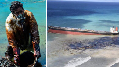 Photo of Il popolo di Mauritius dona i propri capelli per salvare il mare dalle tonnellate di carburante che si stanno riversando dalla petroliera incagliata