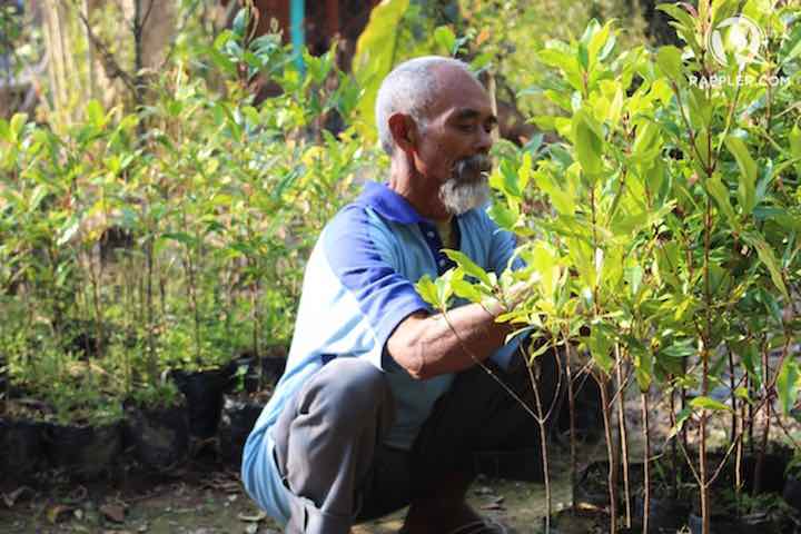 nonno 11.000 alberi