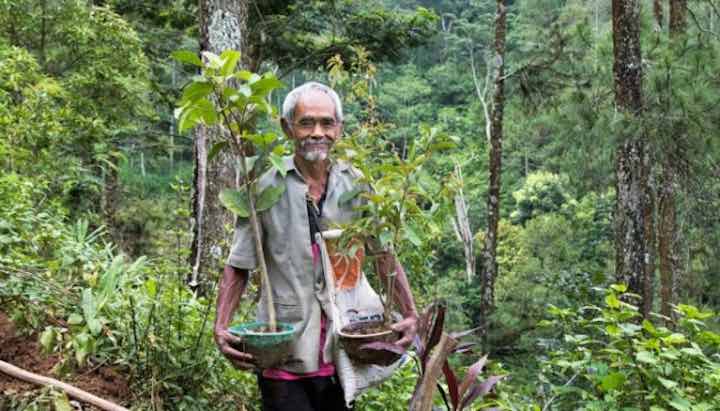 nonno ha piantato alberi