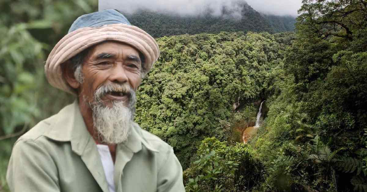 nonno ha piantato più di 11.000 alberi