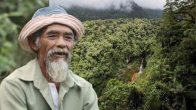 Photo of Un nonno di 68 anni ha piantato più di 11.000 alberi per riportare l’acqua nei boschi e contrastare la deforestazione