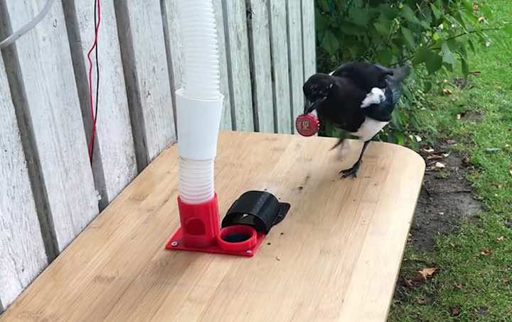 Un ragazzo costruisce alimentatore per uccelli tappi