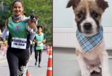 Photo of Una donna salva un cane randagio mentre partecipa ad una maratona e lo porta in braccio fino al traguardo