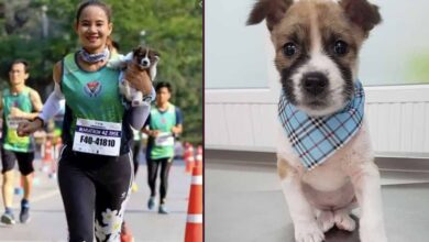 Photo of Una donna salva un cane randagio mentre partecipa ad una maratona e lo porta in braccio fino al traguardo