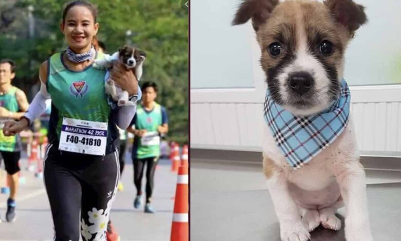 donna salva un randagio maratona