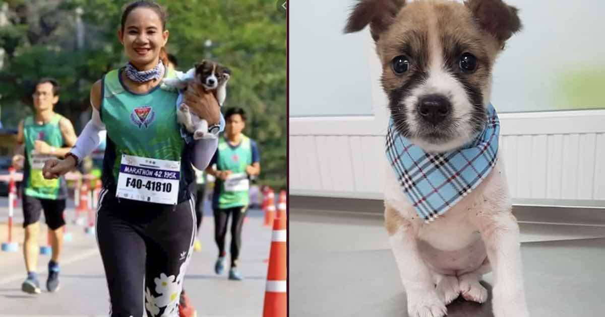 donna salva un randagio maratona