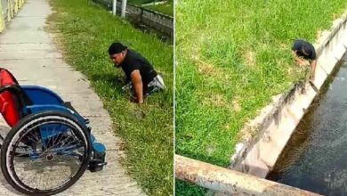 Photo of Un uomo disabile scende dalla sua sedia a rotelle per salvare un gattino che stava rischiando di annegare