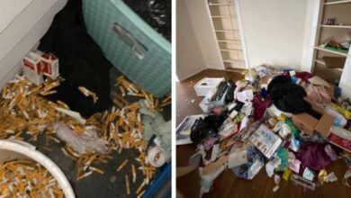 Photo of Gli inquilini in soli 6 mesi distruggono un appartamento, il proprietario pubblica le immagini della casa danneggiata