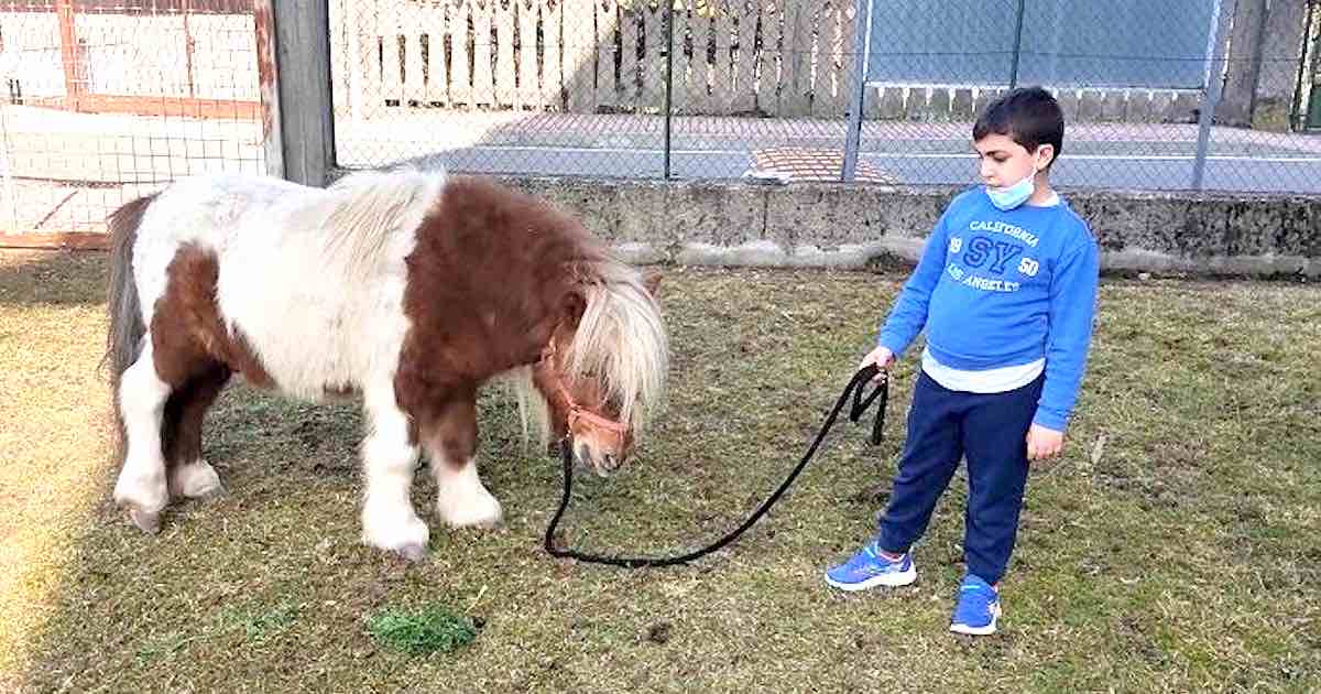 Cerco una casa pony