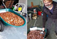 Photo of Dipendente dà le dimissioni e chiede la liquidazione: il suo ex datore di lavoro si vendica pagandolo in centesimi correlati da insulti