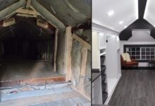 Photo of Un uomo trasforma la soffitta inutilizzata nell’armadio dei sogni della moglie. Le immagini del “dopo” lasciano sbalorditi
