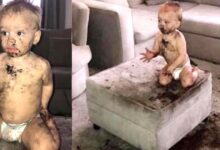Photo of Un bimbo di 3 anni da quando ha iniziato a camminare ha già rotto 12 televisori, dato fuoco alla casa e causato 48.000 euro di danni ai suoi genitori