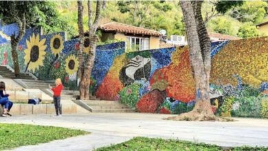 Photo of Un giovane artista crea un vero e proprio capolavoro realizzando un murale con 200.000 tappi di plastica riciclati: l’immagine dell’opera d’arte spopola sul web