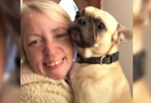 Photo of “Amo il mio cane più di mio figlio”: le parole di una madre scatenano un’accesa discussione sul web
