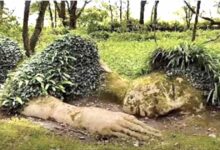 Photo of L’imponente scultura vivente che cambia aspetto a seconda della stagione: le immagini presenti in rete lasciano senza parole
