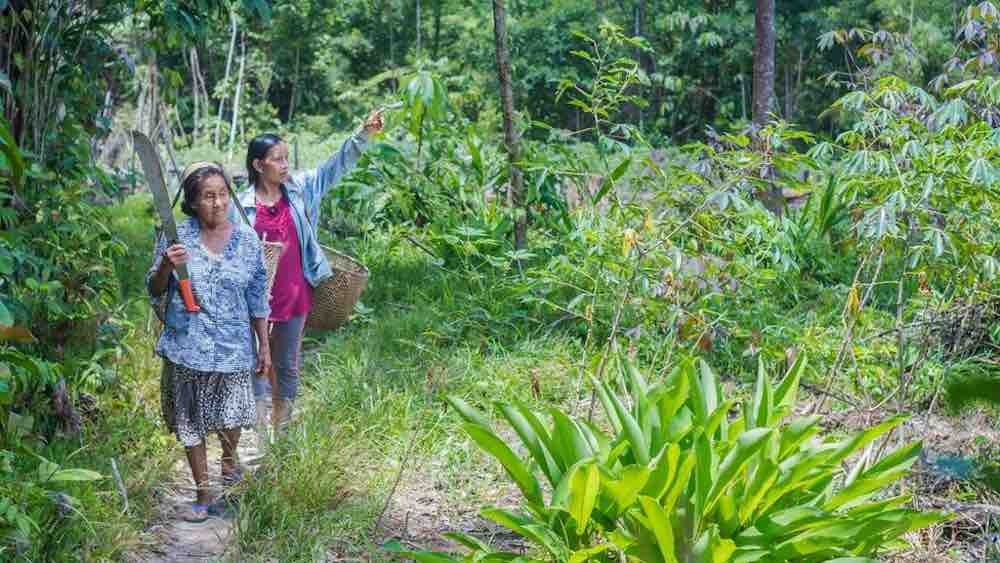 Da sola ha salvato 800mila ettari di foresta amazzonica 2