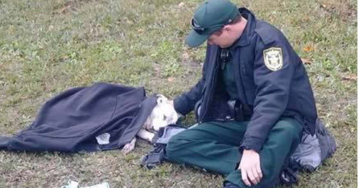 Un agente protegge il cane ferito