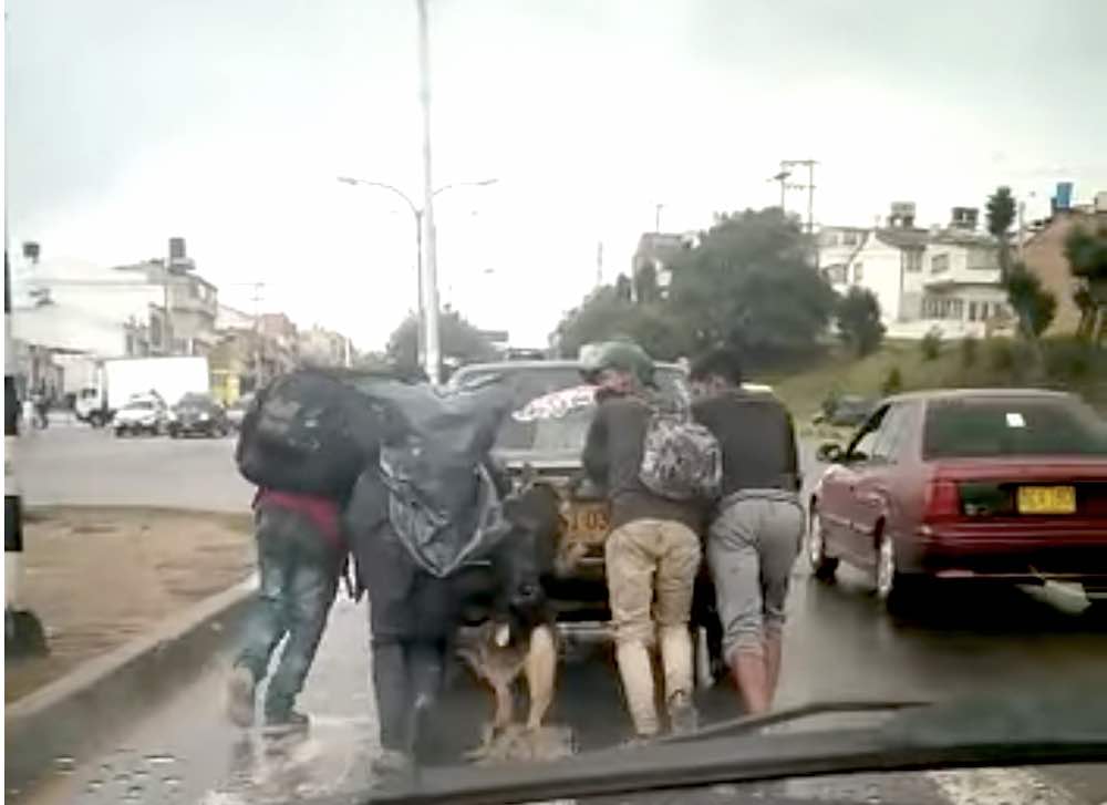 Un cane aiuta spingere auto