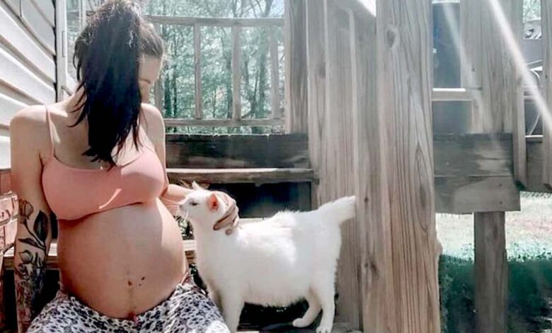 Una donna incinta incontra una mamma gatta randagia