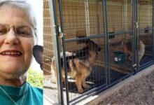 Photo of Una donna entra in un canile e adotta il cane che nessun vuole: “il più vecchio e difficile da adottare” è stata la sua richiesta