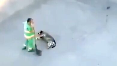 Photo of Un operatore ecologico rende più felice la giornata di un cane: il video che riprende l’ignaro benefattore rallegra i cuori