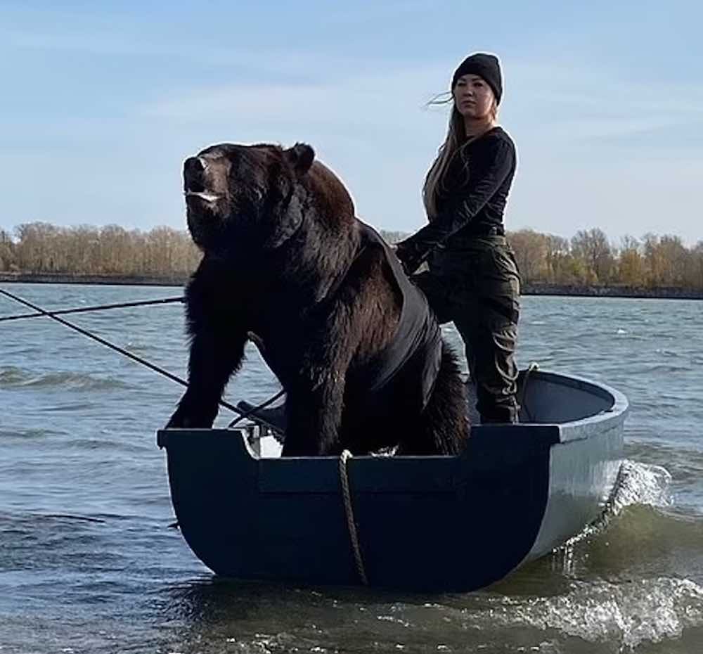 Salva un cucciolo di orso abbandonato 1