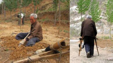 Photo of Un anziano disabile pianta alberi per 20 anni: con il suo encomiabile sacrificio ha dato vita ad una rigogliosa foresta di circa 17.000 alberi