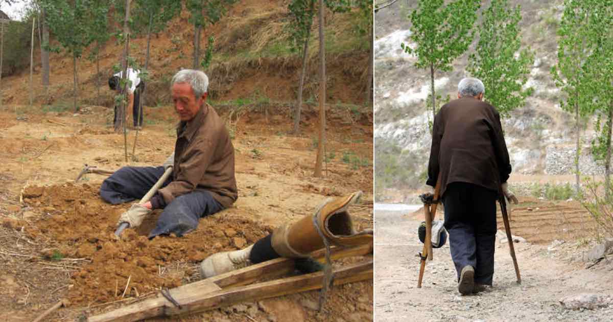 Un anziano disabile pianta alberi per quasi 20 ann