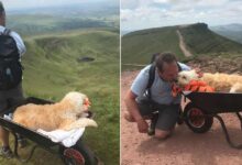 Photo of Porta il cane malato sulla sua montagna preferita e qualche giorno muore: l‘ultimo viaggio con il suo fedele amico a quattro zampe commuove il web