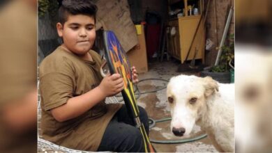 Photo of Un bambino di 9 anni mette in vendita il suo skateboard sui social per portare il cane trovato ferito e abbandonato in strada dal veterinario