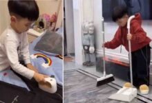 Photo of “Mio figlio di 6 anni si sveglia alle sei del mattino per fare i lavori di casa”: la madre finisce sotto una pioggia di critiche