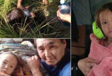 Photo of Una bambina di 3 anni sopravvive dodici giorni nella foresta grazie al suo cane: sembra un film, ma è la realtà